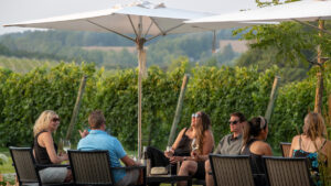 Looking Back at Summer 2025: Our Favorite Vineyard Memories