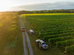 2025 Leelanau Peninsula Harvest Preview